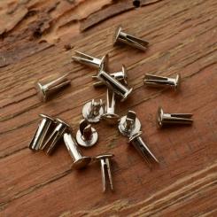 Steuerkopfschild - Nieten, "Zweispitzniet", Messing vernickelt 